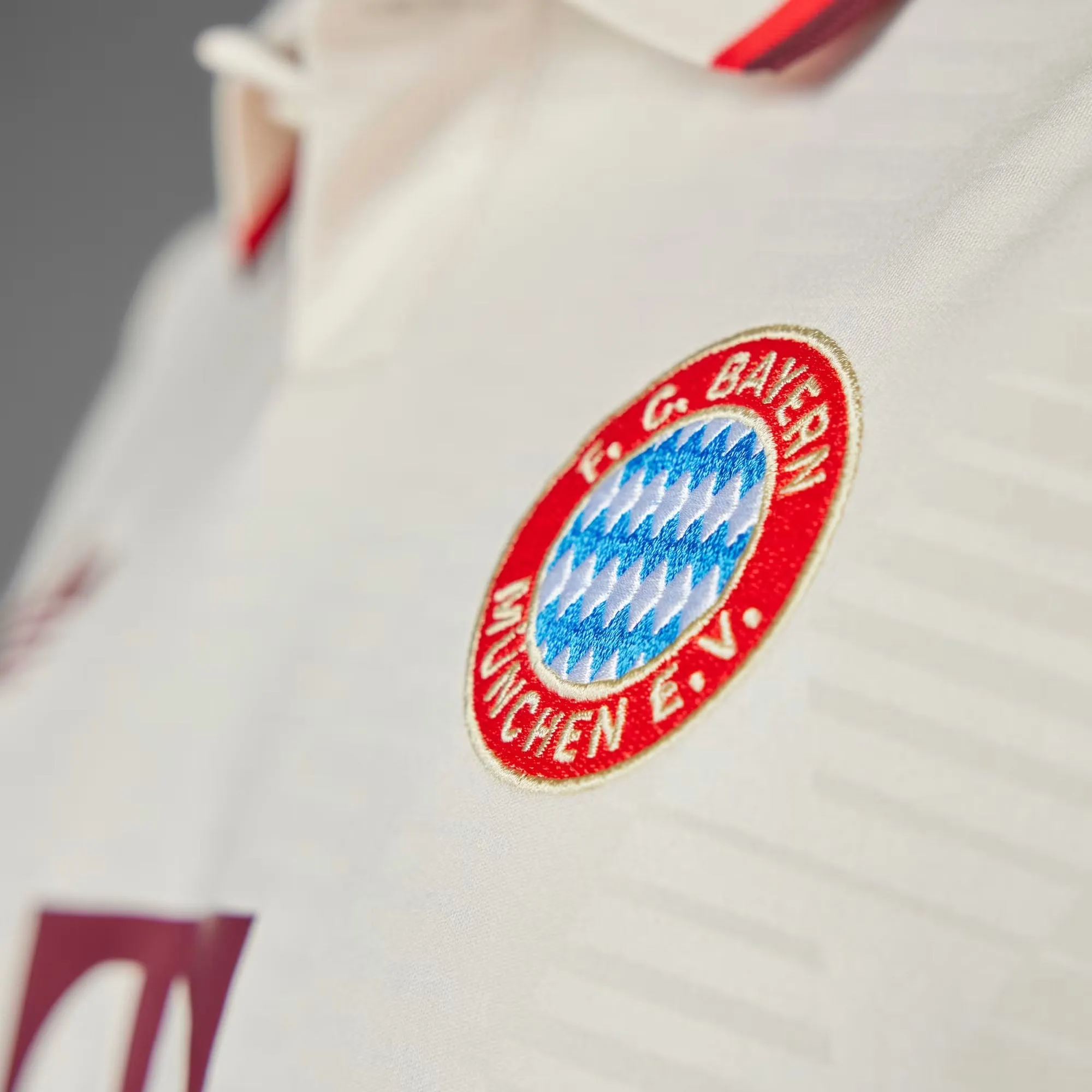 Bayern Munich 24/25 3rd Football Shirt