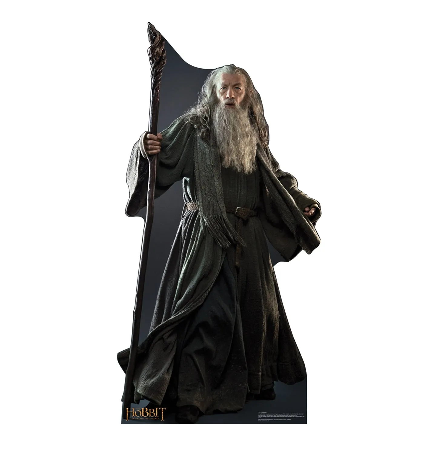 Lord of the Rings Gandalf Cardboard Cutout Standee